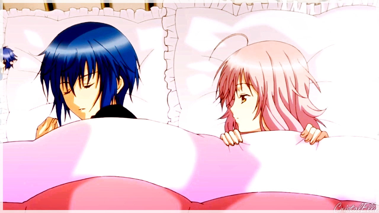 Shugo Chara || Amu & Ikuto - Survivor