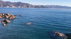 Италия. Эпизод #2. Портофино, горная тропа и Санта Маргарита Лигурия.