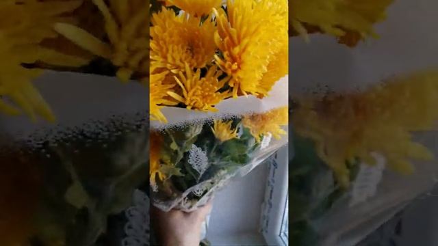 ☝️ОКОННЫЕ ОТКОСЫ СВОИМИ СИЛАМИ .НАШИ РУКИ НЕ ДЛЯ СКУКИ .Осень, воскресенье, любовь? #откосы #окна смотреть онлайн