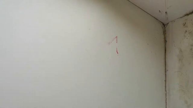 МИСТИКА НЕ ОСТАНАВЛИВАЕТСЯ//НОВАЯ ЦИФРА ПОЯВИЛАСЬ,У МЕНЯ ДОМА 👽 смотреть онлайн