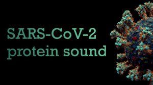 SARS-CoV-2 protein as a sound