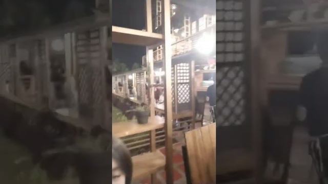 COFFEE RUSH & TOMAS MORATO BONDING ❤️ Ria #coffeerush #tomasmorato смотреть онлайн