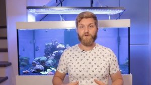 высокий нитрат и фосфат в морском аквариуме. мягкий риф 700.