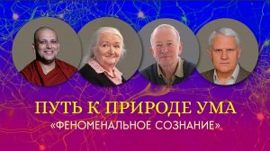 Феноменальное сознание. Путь к природе ума