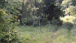 Рыбалка в Беларуси. Браславские озера. Новое место. Озеро Укля. Линь.