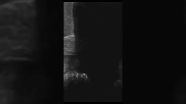 Не смотреть перед сном! смотреть онлайн