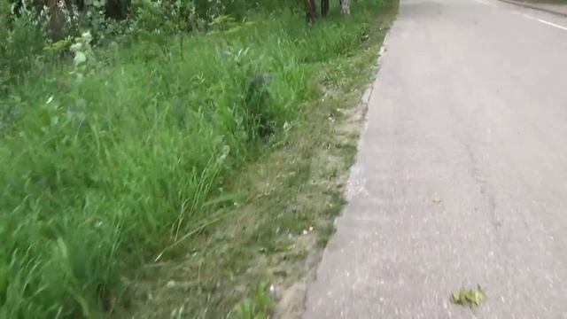 Стрижка травы в Эжве, 0,5 метра от тратуара - странный стандарт смотреть онлайн