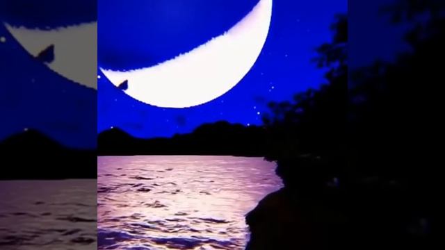 Выражать недовольство невыгодно для себя