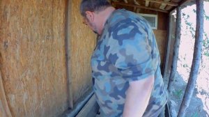 Курица Несушка села в Гнездо высиживать Яйца