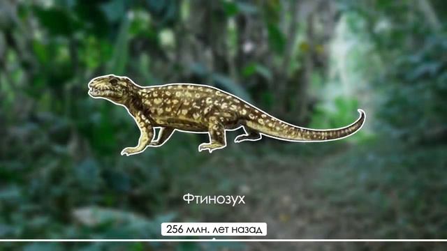 ЭВОЛЮЦИЯ ЧЕЛОВЕКА ОТ КЛЕТКИ ДО ЧЕЛОВЕКА РАЗУМНОГО смотреть онлайн