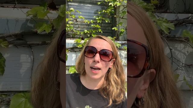 Браки в США: женитьба/замужество - подводные камни, брачные договоры, виза жениха и невесты и мн.др смотреть онлайн