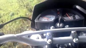 Рейсер Пантер 200