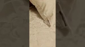 Отзыв о матрасе DreamLine Eco Strong Bonnel 160*200 и магазине "Анатомия сна"