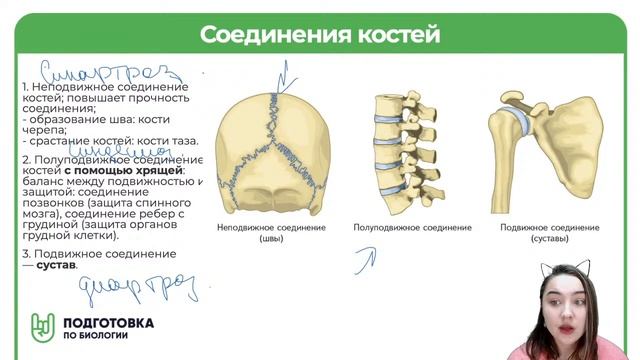 СКЕЛЕТ ЧЕЛОВЕКА смотреть онлайн