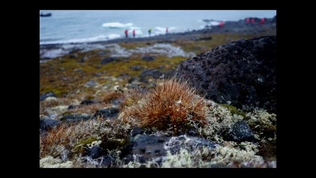 Распределение почв по природным зонам (ЕГЭ) смотреть онлайн