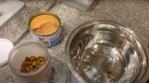 Кормление собаки натуралкой / Польза и риски