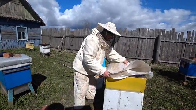Пасека Лаврова. Контролируем развитие семей, расширение. смотреть онлайн
