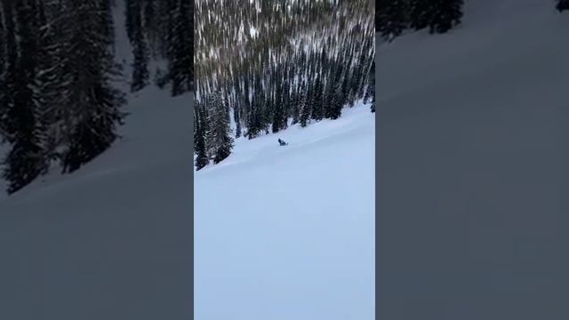 Приисковый , январь 2022 , лучшие места для снегоходов смотреть онлайн