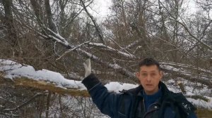 РАСЧИЩАЮ русло реки /пилю валежник / заготавливаю дрова / ИМЕЮТСЯ спорные вопросы