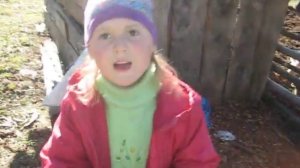 На пасеке в горах Алтая