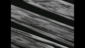 LJ150326 045 mi3ch собака лаяла на дядю фраера