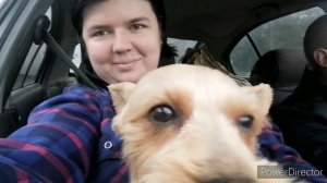 ДЕРЕВНЯ. Дела идут - контора пишет! Вязание мамы. Постепенно все сделаем!