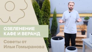 Озеленение открытых пространств кафе и веранд | Советы от Ильи Гомыранова