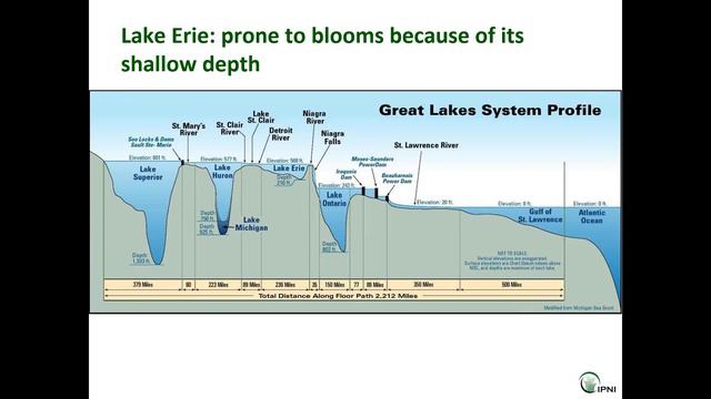 Webinar: Sustainable Thinking 4R Phosphorus