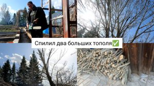 Спилили два больших тополя. Начало садово-огородного сезона 2024. Жизнь в своем доме.