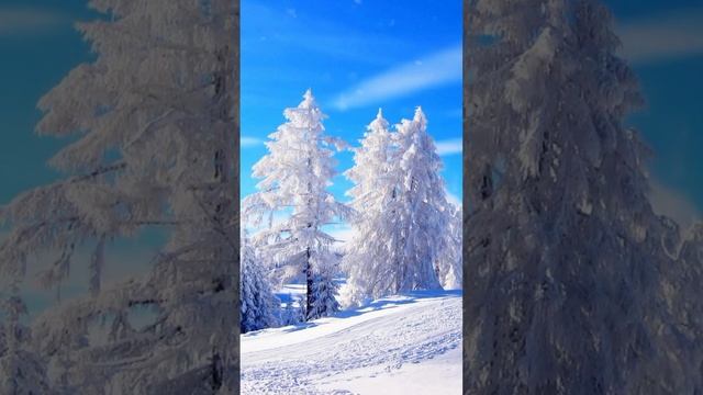 Старинный вальс "Оборванные струны."