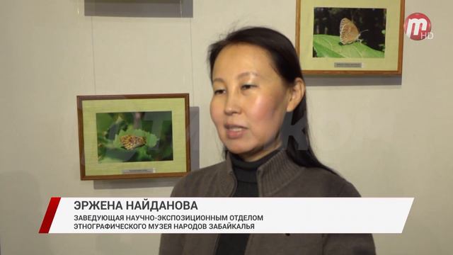 В Улан-Удэ открылась выставка «Бабочки пушкинского детства» смотреть онлайн