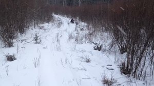 Мото собака Снежок 500 ДВ 9 л.с. Мотобуксировщик