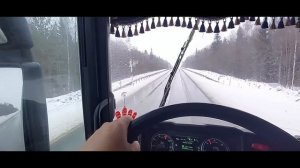 Дальнобой ПИТЕР-- ОМСК. на Скании S500. #ДЕЛКО
