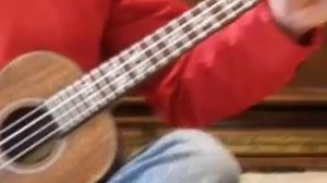 Kala Brand Ukulele - Solid Acacia Tenor