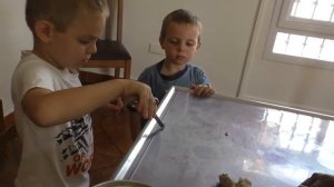 Remove mango worms from dog - Remove mango worms from dog skin Удалите манговых червей с кожи собак