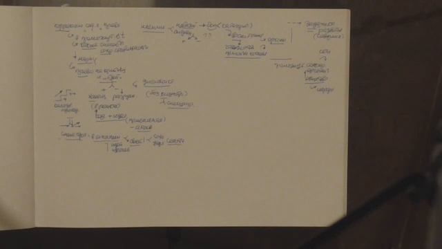 Спекулятивные преобразования и правовое поле Право на развитие 2018 смотреть онлайн