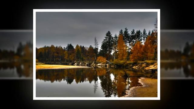 Природа Рязанского края.