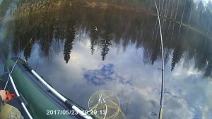 Рыбалка на реке шола.Вологодский обл.