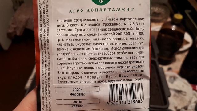 обзор и посадка семян томатов сорт - розовый гигант. смотреть онлайн