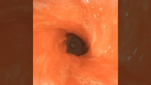 Умный маленький блендер с функцией нагрева Xiaomi Mijia Smart Cooking Machine White (MPBJ002PL) CN