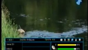 Открытые каналы на спутнике Ямал 90 градус 31.08.22.