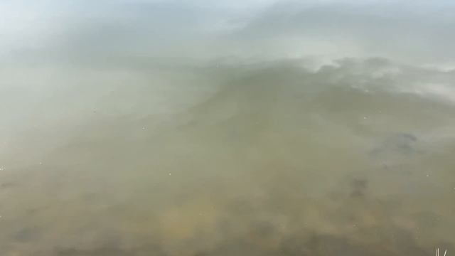 Карпы ломают крючки! Разговоры о рыбалке, лодке, дальнейших планах. смотреть онлайн