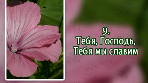 Гимны надежды 9 Тебя, Господь, Тебя мы славим (-)