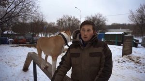 Профессия - Дрессировщик