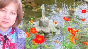 Про теплицу, прудик и вредителей))) Ландшафтный дизайн своими руками.