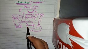 PROPULSION and MIXING OF FOOD in GIT ch 64 guyton fast review part 1mastication and deglutition