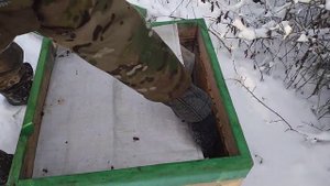 холодная зимовка пчёл, слабонервных не смотреть