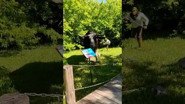 Посетили парк динозавров в Крылатском. Парк Сказка. Часть 1. смотреть онлайн