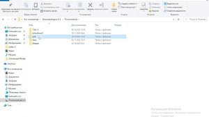 Ошибка зеленый жучок Сталкер Чистое Небо. РЕШЕНИЕ ЗДЕСЬ.
