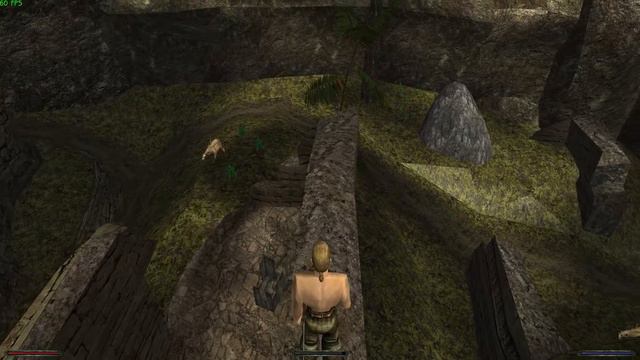 Все ЦАРСКИЕ ЩАВЕЛЯ в ЯРКЕНДАРЕ | Gothic2/Готика2: В2 Альтернативный Баланс